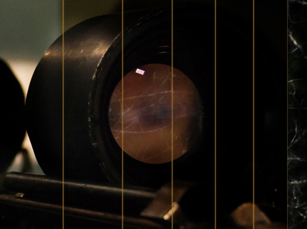 auto_portrait element -br